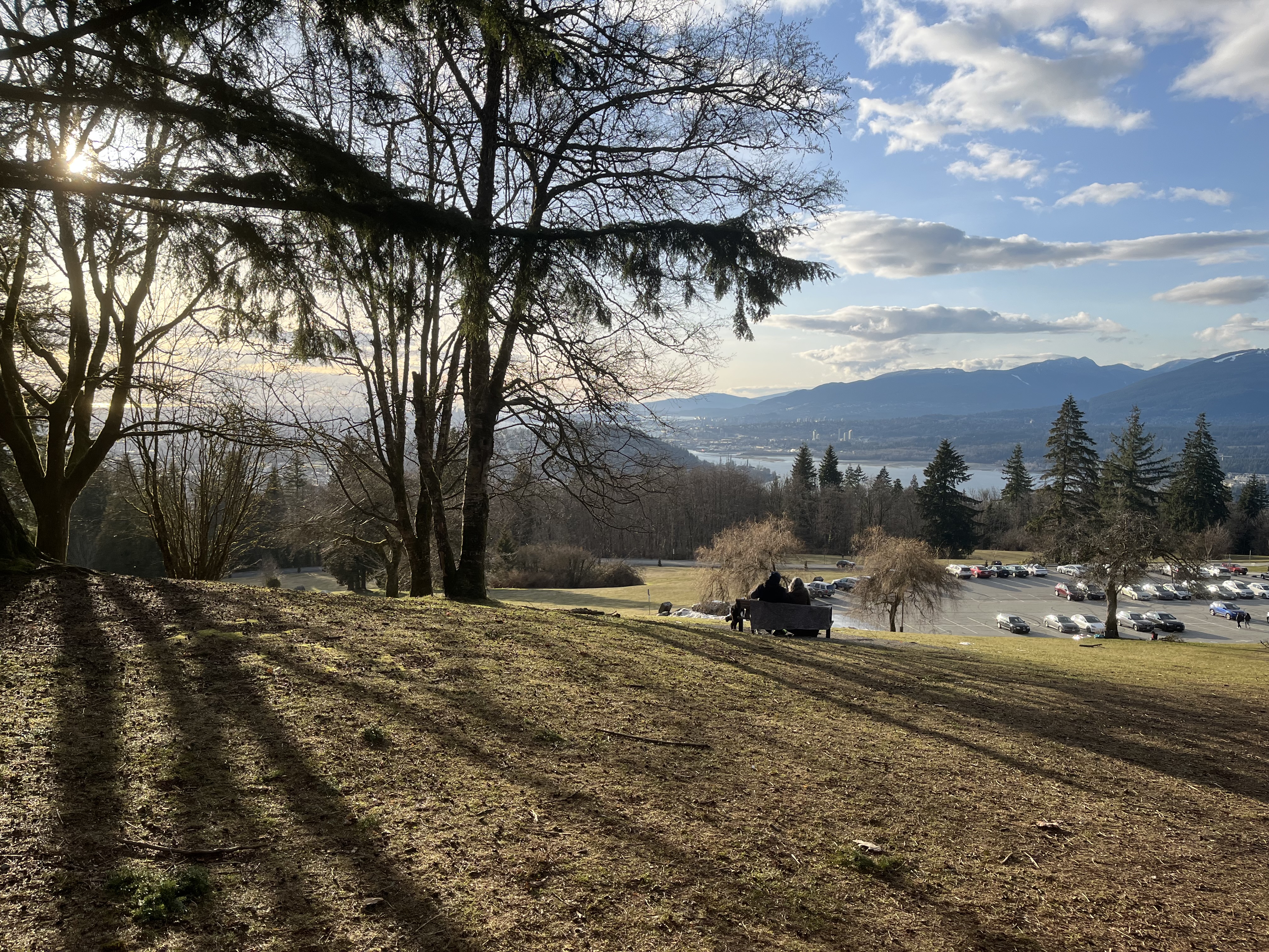 Mountain view through trees